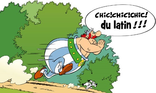 Loto foot Euro 2024 - Page 6 Obelix